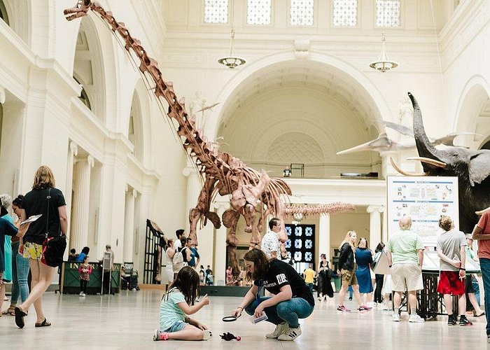 Field Museum of Natural History All-Access Pass