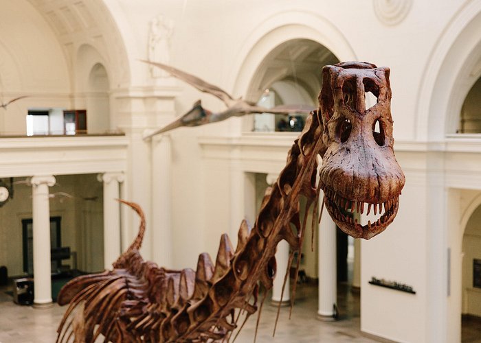 Field Museum of Natural History All-Access Pass